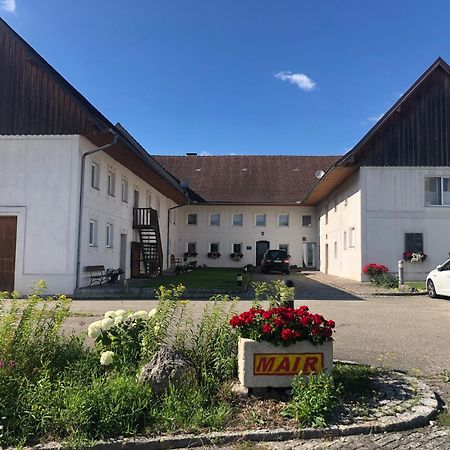 Babsi Appartments - Leben Am Land Wels Kültér fotó