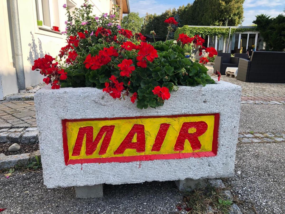 Babsi Appartments - Leben Am Land Wels Kültér fotó